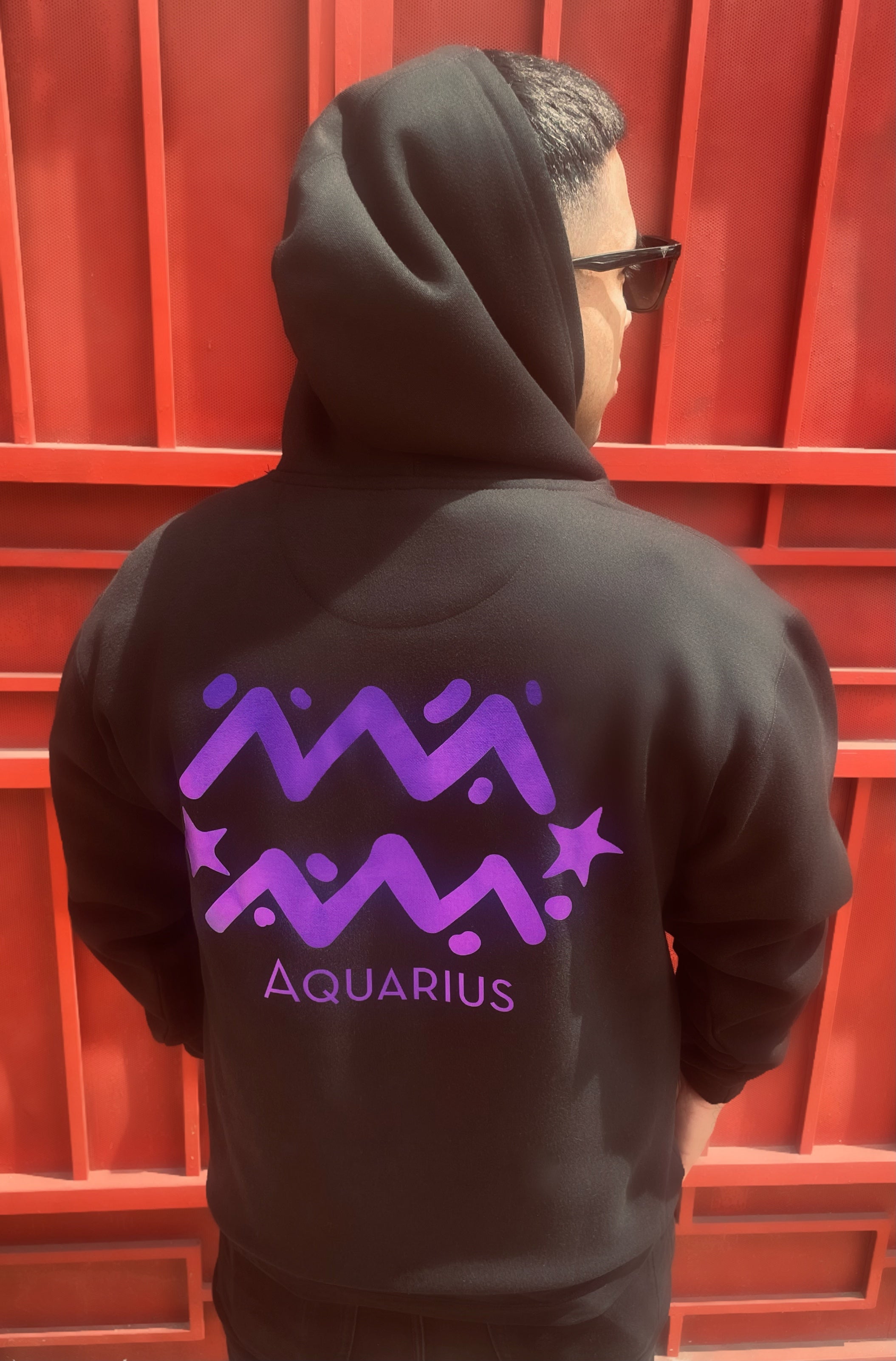 Fallon Aurielle Unisex Signature Aquarius Logo & Name Zodiac Hoodie (Black & Metallic Purple)