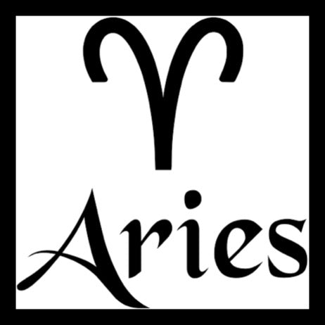 Fallon Aurielle Unisex Signature Aries Zodiac Hoodie (Black & Silver Sparkle)
