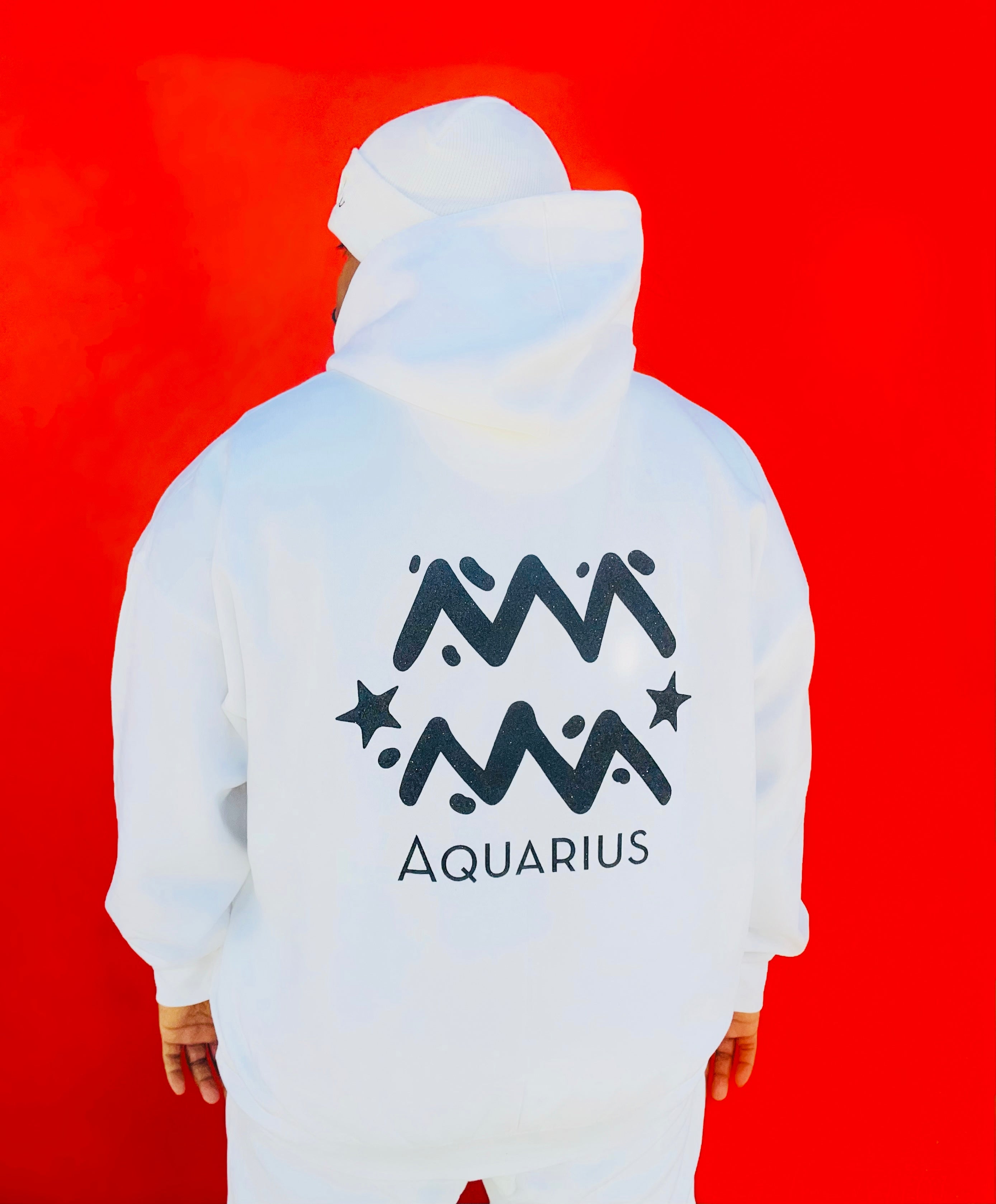 Fallon Aurielle Unisex Signature Aquarius Logo & Name Zodiac Jogging Hoodie (White & Black Sparkle)
